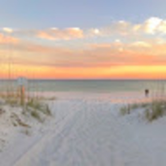 Meet your Posher, Ella - Picture 1 of 1